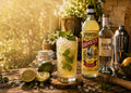 Ernest Limoncello — bouteille et cocktail menthe-citron vert en terrasse
