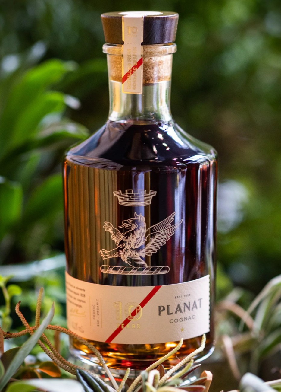 Planat Cognac 10 Ans — carafe présentée en décor végétal