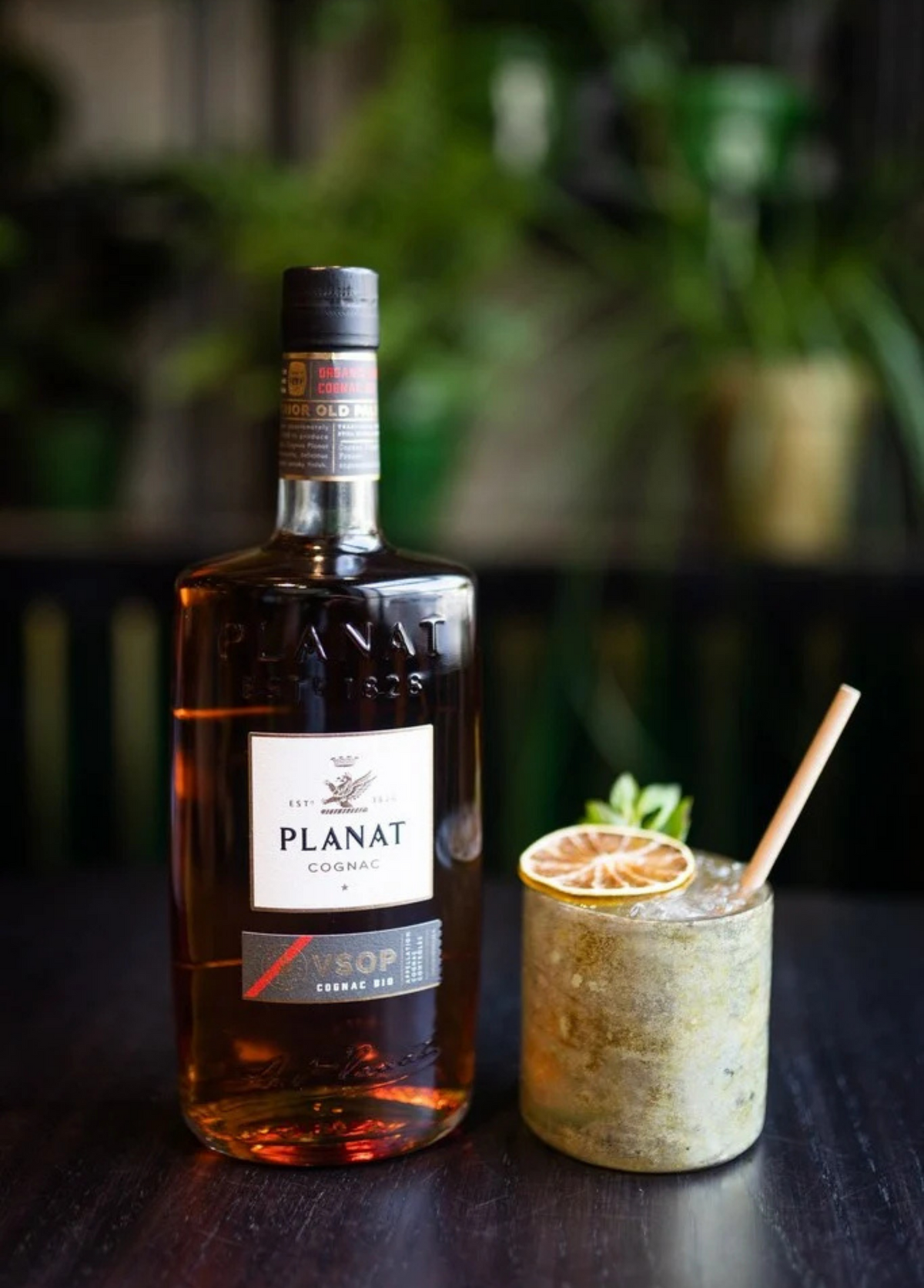 Planat Organic VSOP Cognac BIO avec cocktail – ambiance bar
